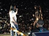 Show CTN/SP